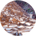 maras-2