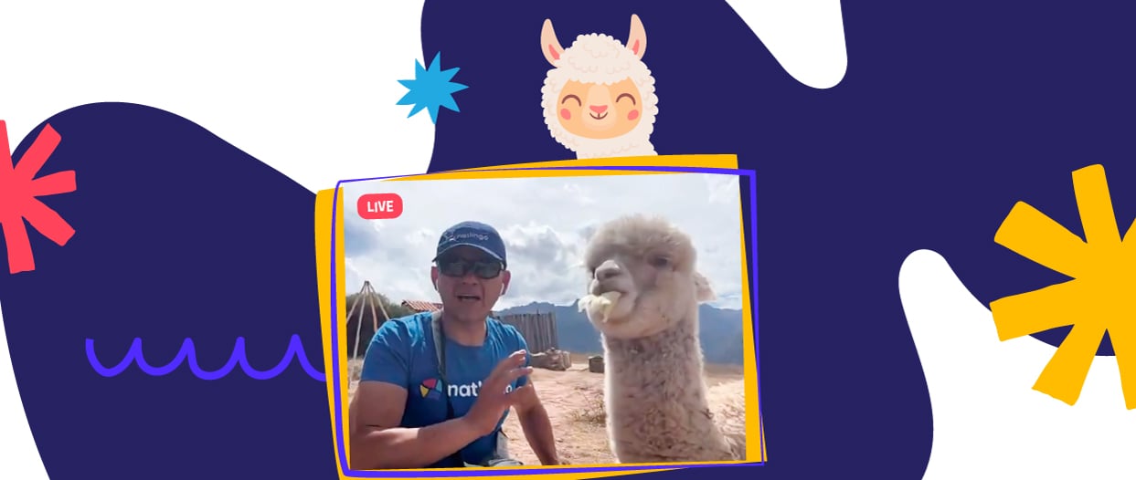 our tutor micky feeds a very cute llama in cuzco peru